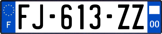 FJ-613-ZZ