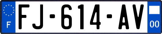 FJ-614-AV