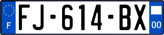 FJ-614-BX