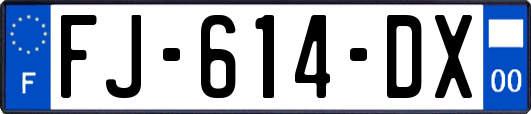 FJ-614-DX