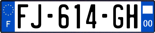 FJ-614-GH