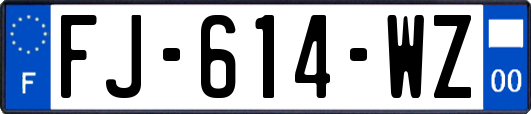 FJ-614-WZ