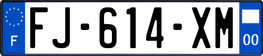 FJ-614-XM