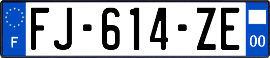 FJ-614-ZE