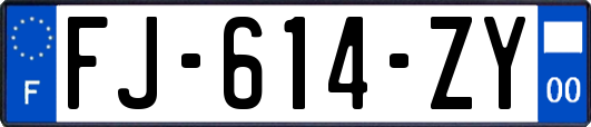 FJ-614-ZY