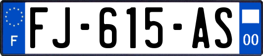 FJ-615-AS