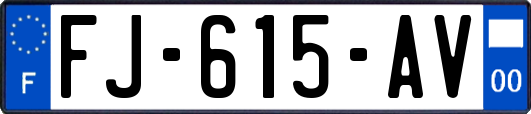 FJ-615-AV