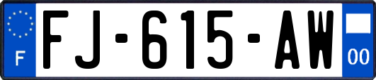 FJ-615-AW