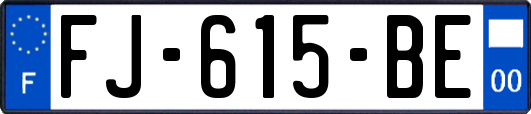 FJ-615-BE