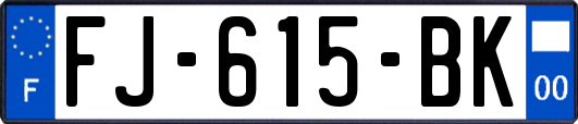 FJ-615-BK