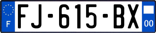 FJ-615-BX