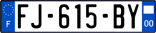 FJ-615-BY