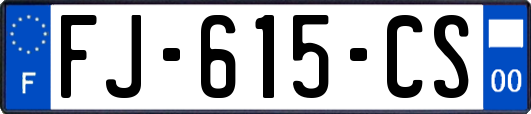 FJ-615-CS