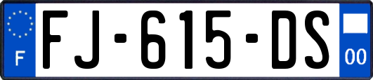FJ-615-DS
