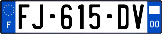 FJ-615-DV