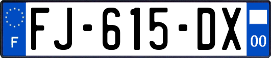 FJ-615-DX