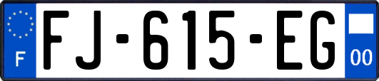 FJ-615-EG