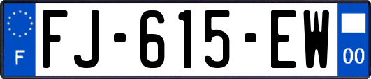 FJ-615-EW