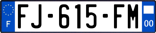 FJ-615-FM