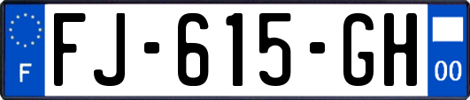 FJ-615-GH