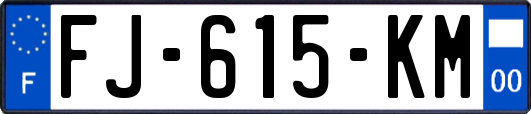 FJ-615-KM