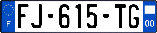 FJ-615-TG