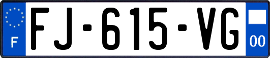 FJ-615-VG