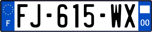 FJ-615-WX