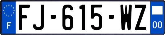 FJ-615-WZ