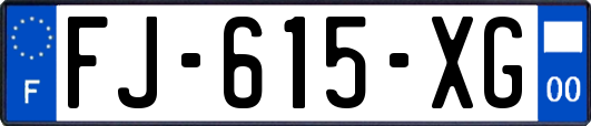 FJ-615-XG