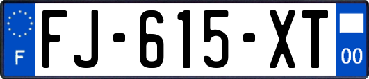 FJ-615-XT