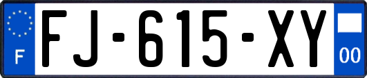 FJ-615-XY