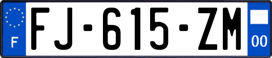 FJ-615-ZM