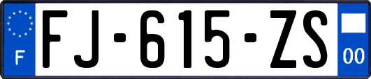 FJ-615-ZS