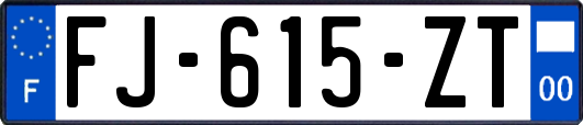 FJ-615-ZT