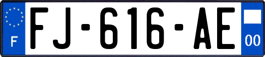 FJ-616-AE