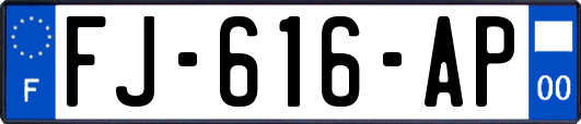 FJ-616-AP