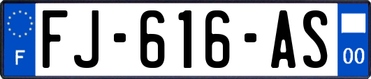 FJ-616-AS