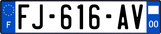 FJ-616-AV