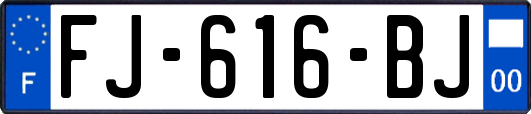 FJ-616-BJ