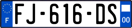 FJ-616-DS