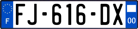 FJ-616-DX