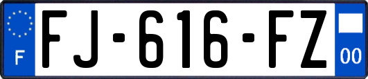 FJ-616-FZ