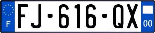 FJ-616-QX