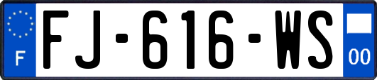 FJ-616-WS