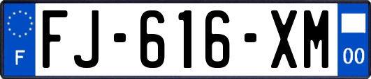 FJ-616-XM