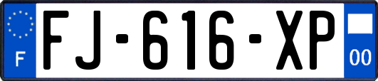 FJ-616-XP