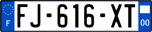 FJ-616-XT