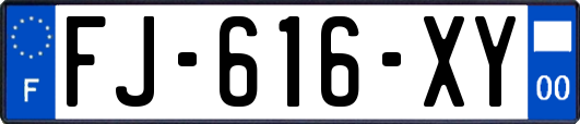FJ-616-XY