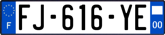 FJ-616-YE